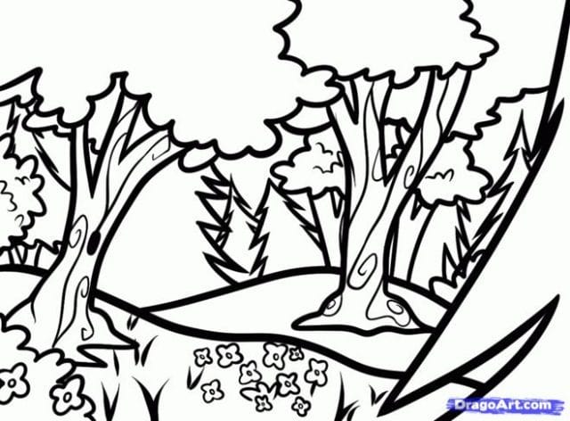 Рисунки леса карандашом для детей (34 фото) #19