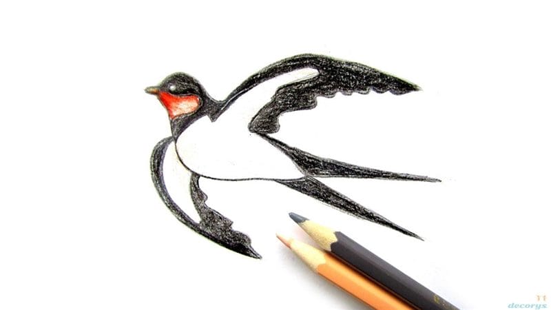 Рисунки птицы карандашом для детей (63 фото) #85