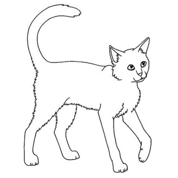 Рисунки кошки карандашом для детей (33 фото) #57