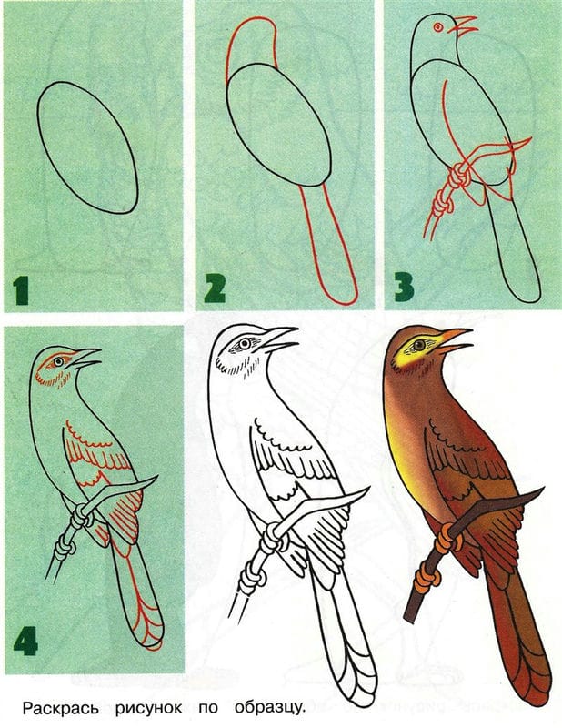 Рисунки птицы карандашом для детей (63 фото) #86