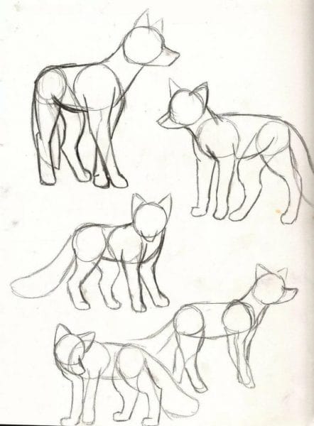 Рисунки карандашом для детей лиса (28 фото) #51