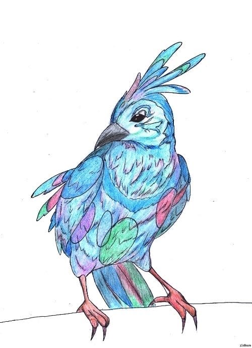 Рисунки для срисовки попугай (29 фото) #20