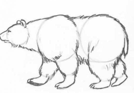 Рисунки медведя карандашом для детей (38 фото) #20