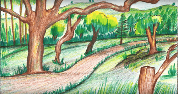 Рисунки леса карандашом для детей (34 фото) #28