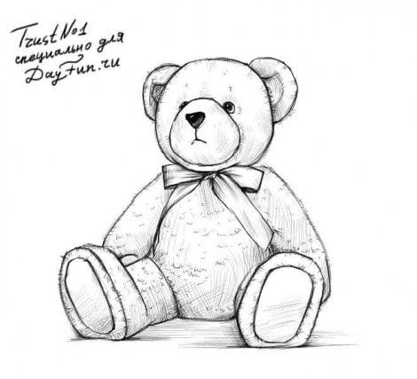 Рисунки медведя карандашом для детей (38 фото) #2