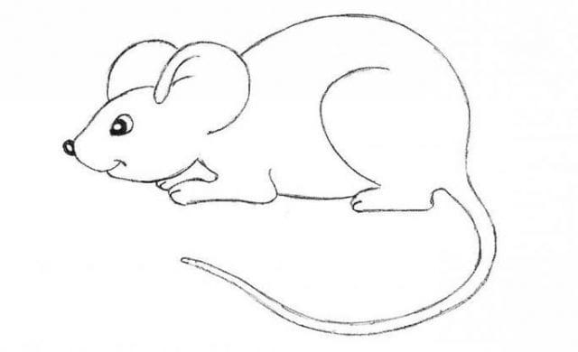 Рисунки мышки карандашом для детей (30 фото) #2