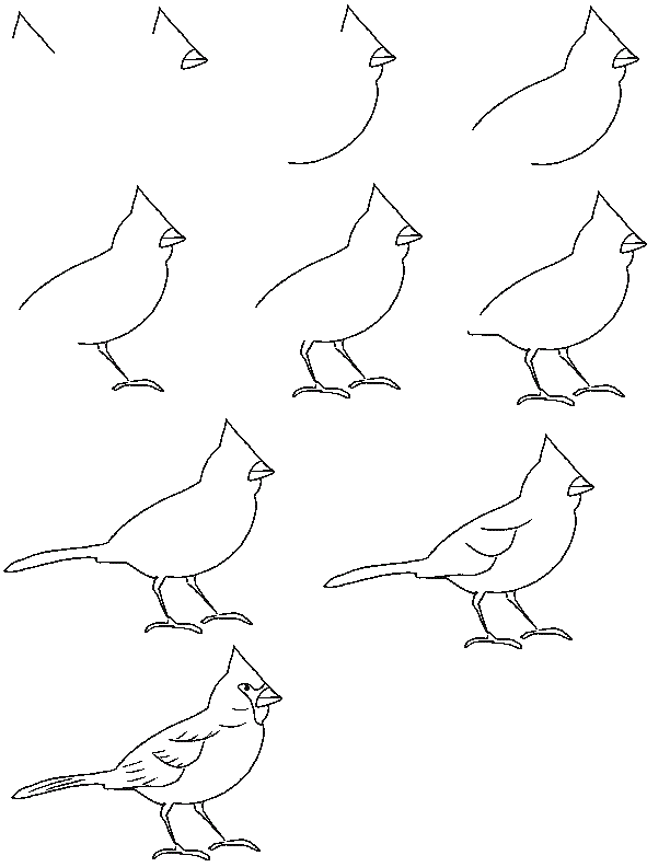 Рисунки птицы карандашом для детей (63 фото) #52