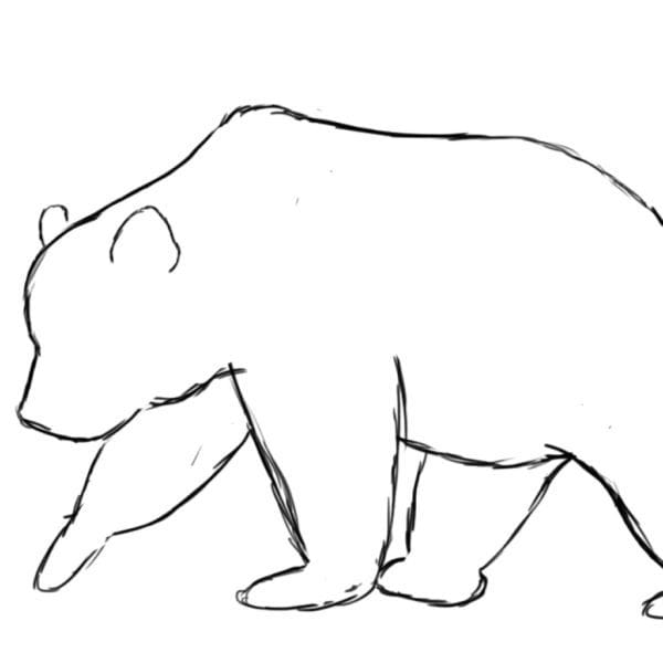Рисунки медведя карандашом для детей (38 фото) #46