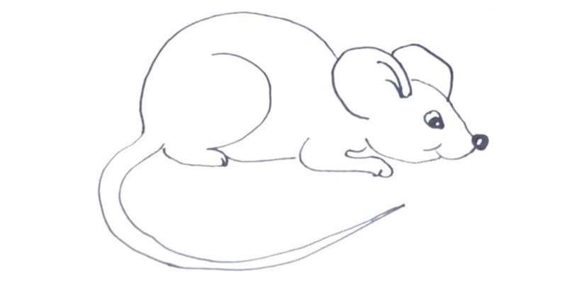 Рисунки мышки карандашом для детей (30 фото) #38