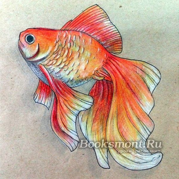 Рисунок карандашом сказка «Золотая рыбка» (20 фото) #24