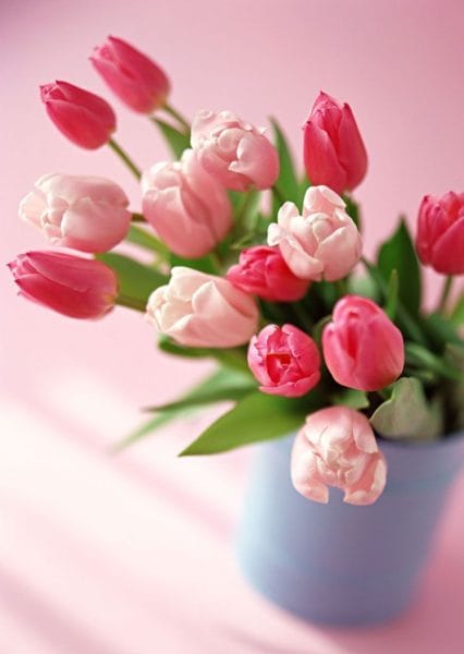 Самые красивые фото цветов и букетов роз (35 фото) #80