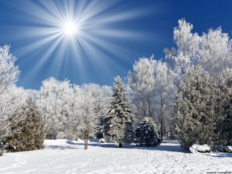 Картинки красивые фото зимы (35 фото) #58
