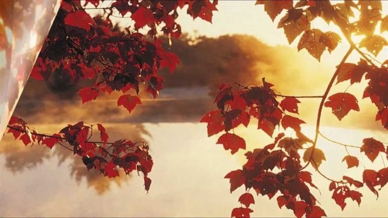 Картинки красивая осень (36 фото) #62