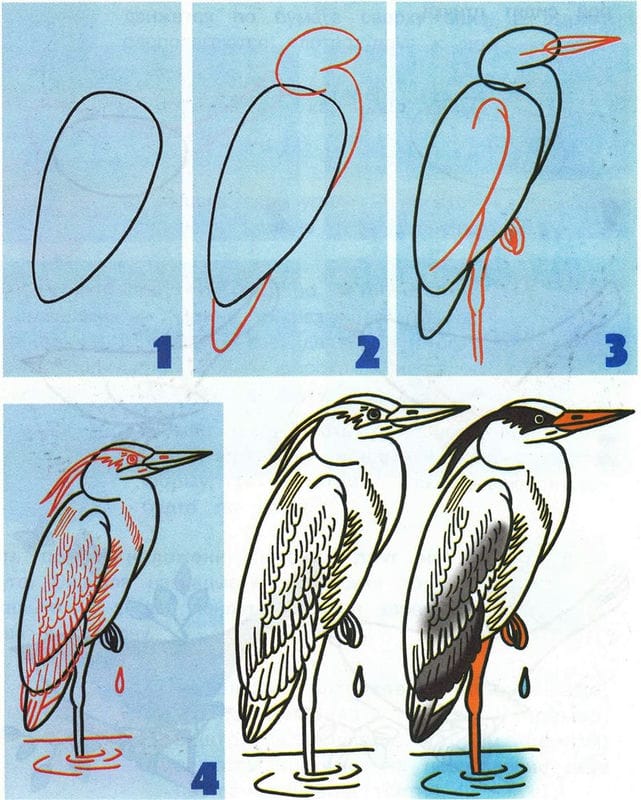 Рисунки птицы карандашом для детей (63 фото) #87