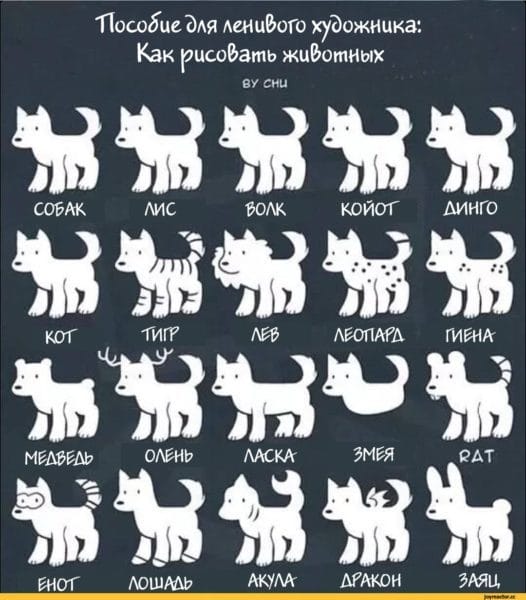 Смешные картинки с собаками с надписями (35 фото) #60