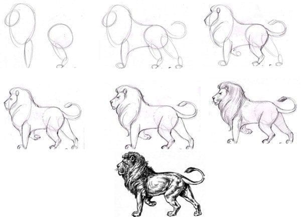 Рисунки карандашом для детей лев (30 фото) #23