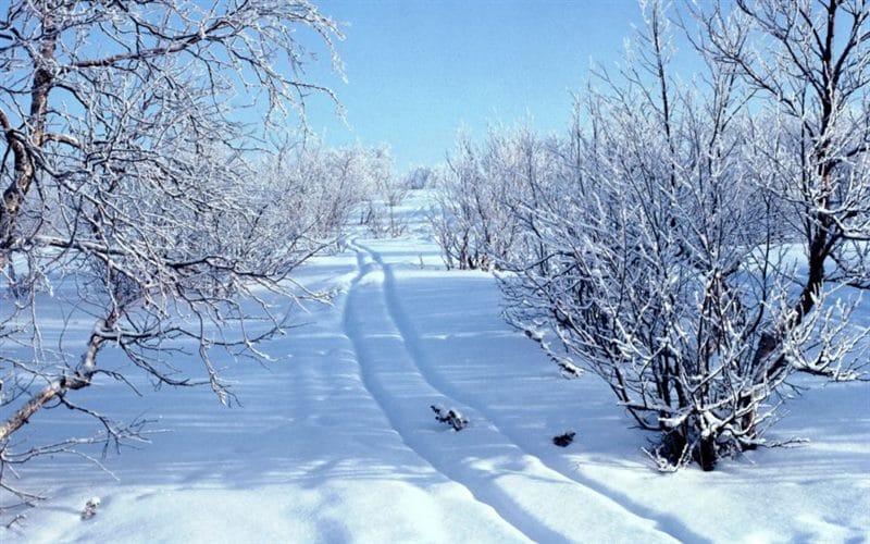 Картинки красивые фото зимы (35 фото) #59