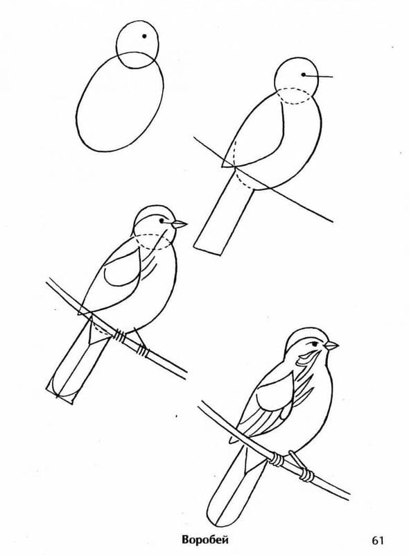 Рисунки птицы карандашом для детей (63 фото) #88