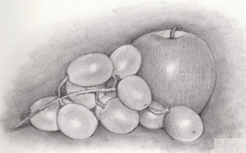 Рисунки карандашом для детей яблоки (48 фото) #95