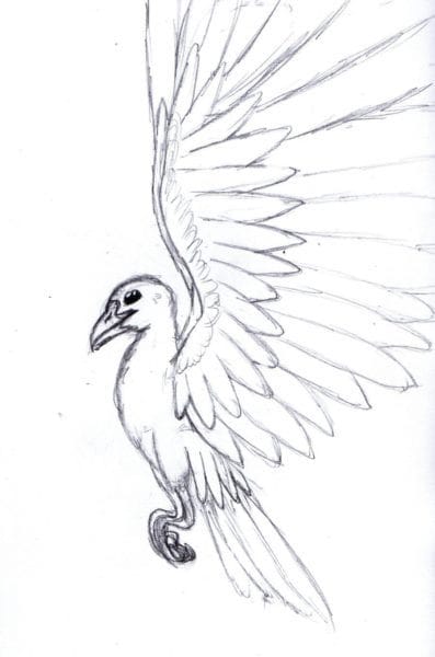 Рисунки для срисовки попугай (29 фото) #58