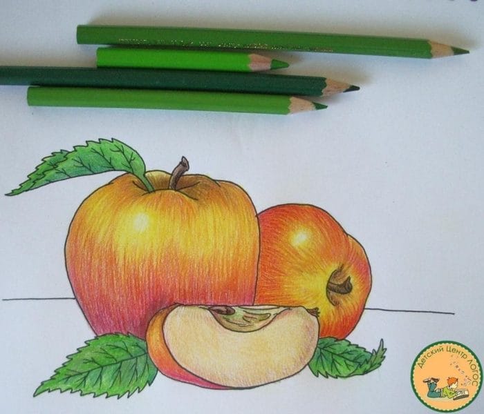 Рисунки карандашом для детей яблоки (48 фото) #96