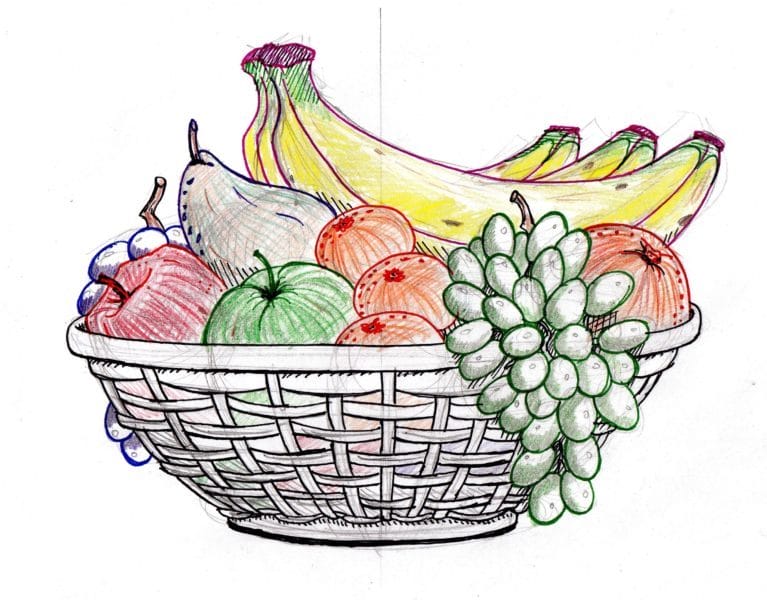 Рисунки овощи карандашом для детей (31 фото) #64