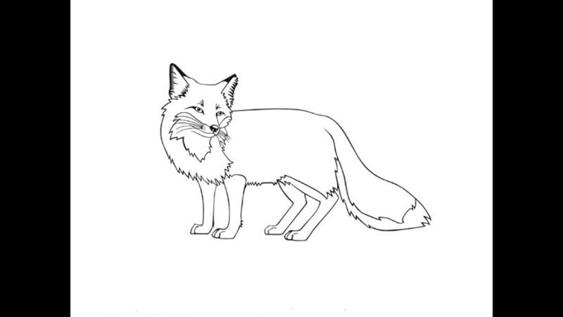 Рисунки карандашом для детей лиса (28 фото) #54