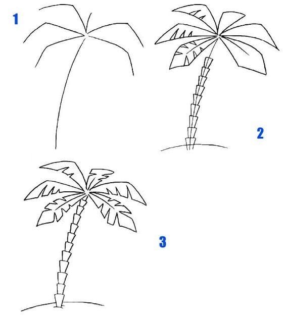 Рисунки карандашом пальма (30 фото) #26