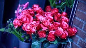 Самые красивые фото цветов и букетов роз (35 фото) #28