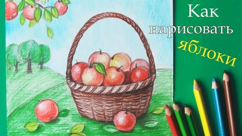 Рисунки карандашом для детей яблоки (48 фото) #97