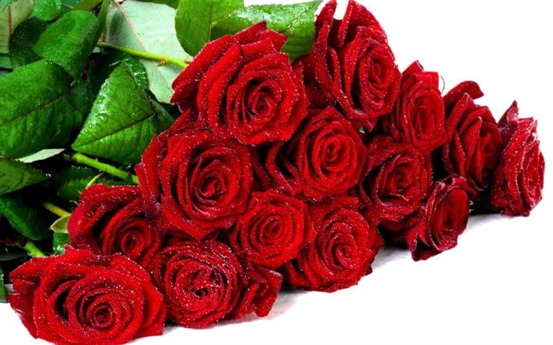 Самые красивые фото цветов и букетов роз (35 фото) #59