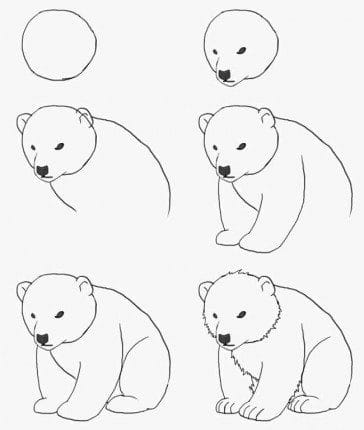Рисунки медведя карандашом для детей (38 фото) #24
