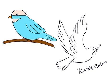Рисунки птицы карандашом для детей (63 фото) #25