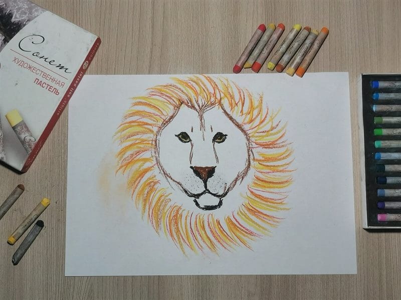 Рисунки карандашом для детей лев (30 фото) #58