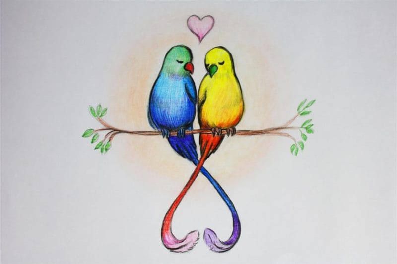 Рисунки для срисовки попугай (29 фото) #60