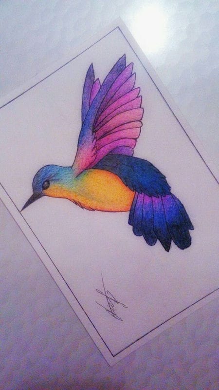 Рисунки птицы карандашом для детей (63 фото) #91