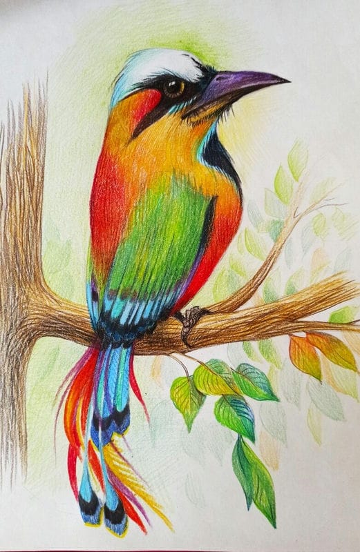 Рисунки птицы карандашом для детей (63 фото) #92