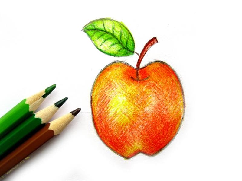 Рисунки карандашом для детей яблоки (48 фото) #33