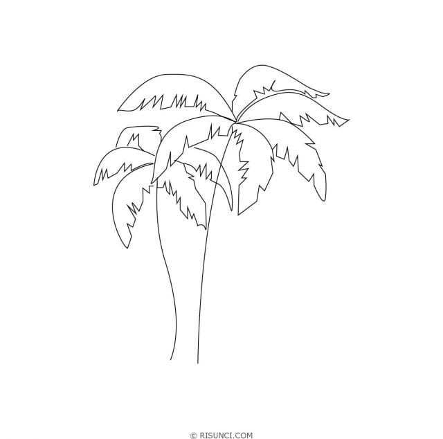 Рисунки карандашом пальма (30 фото) #30