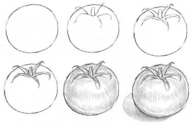 Рисунки овощи карандашом для детей (31 фото) #27