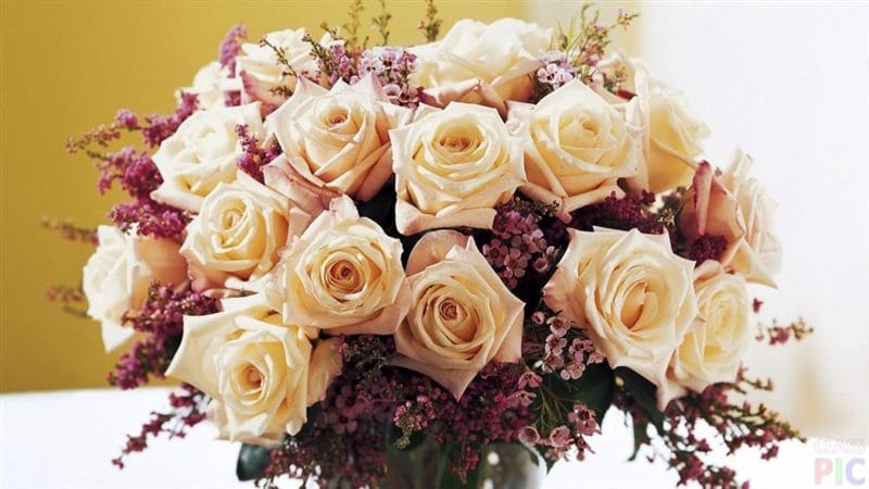 Самые красивые фото цветов и букетов роз (35 фото) #31