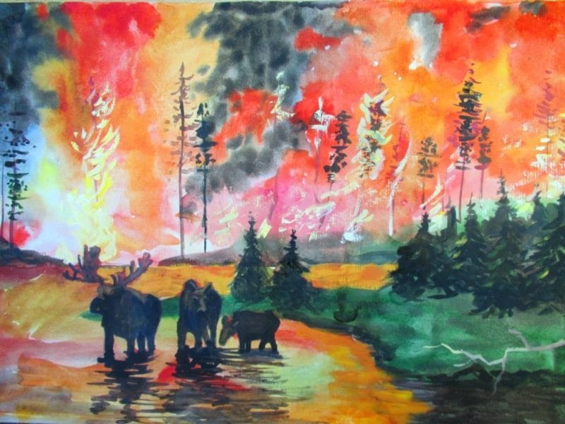Картинки «Берегите лес от пожара!» (29 фото) #65