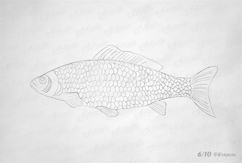 Рисунок карандашом сказка «Золотая рыбка» (20 фото) #48