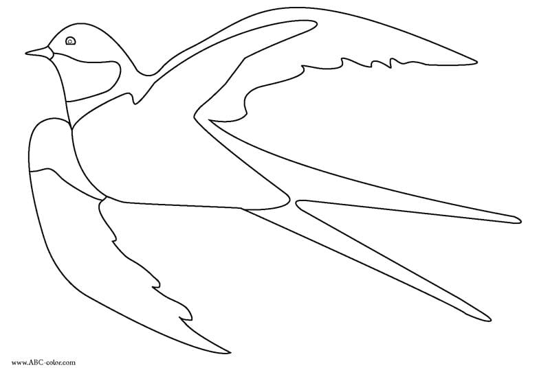 Рисунки птицы карандашом для детей (63 фото) #93