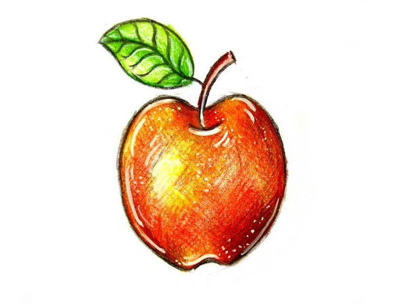 Рисунки карандашом для детей яблоки (48 фото) #34