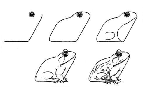 Рисунки лягушки для срисовки (40 фото) #33