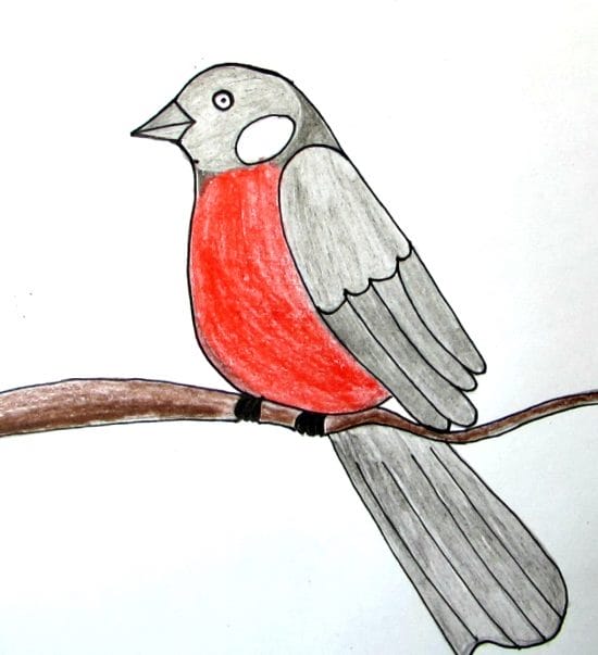 Рисунки птицы карандашом для детей (63 фото) #30
