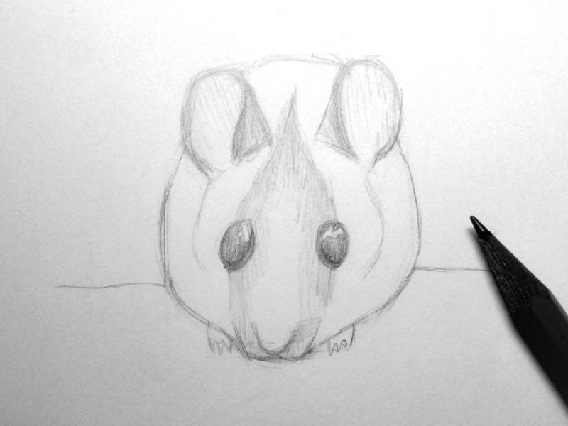 Рисунки мышки карандашом для детей (30 фото) #64