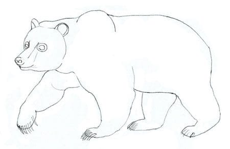 Рисунки медведя карандашом для детей (38 фото) #33