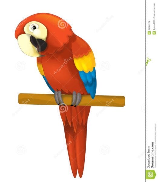 Рисунки для срисовки попугай (29 фото) #65